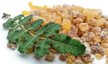 Екстракт Boswellia Serrata